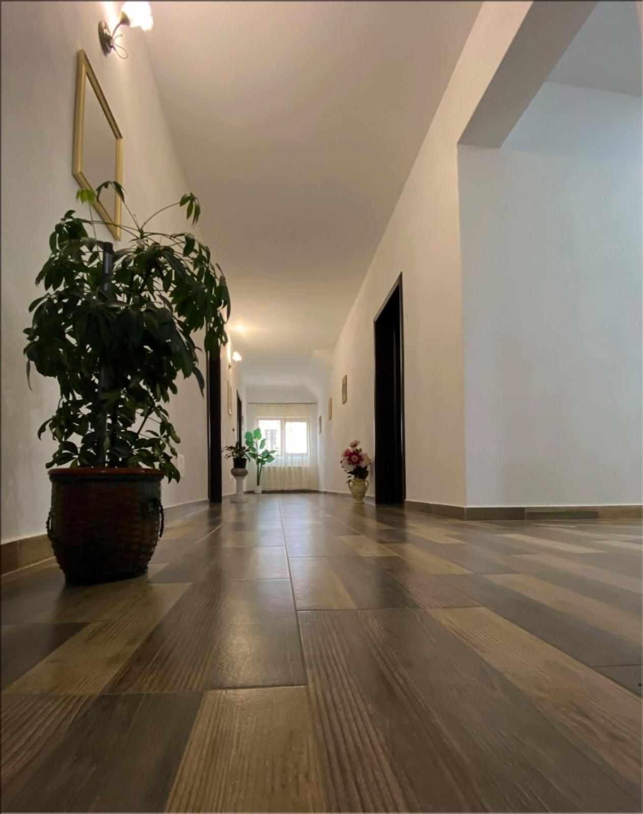 Affittacamere Casa Monica Dragus Esterno foto